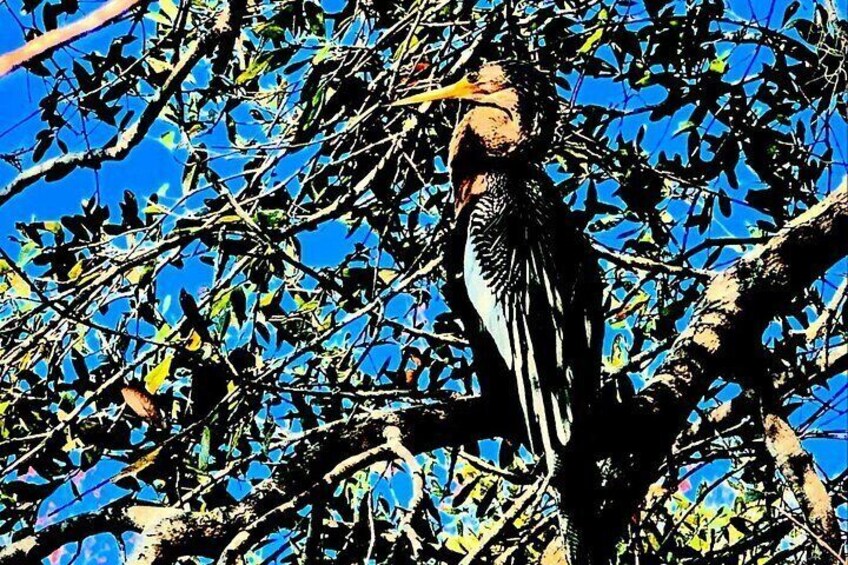 A bird perched on a tree branch. 2