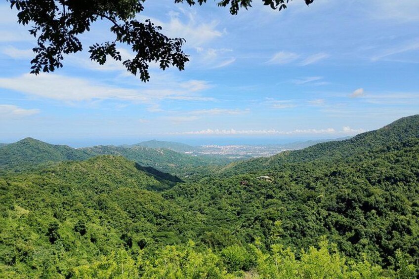 Un paisaje montañoso con densos bosques verdes y un cielo despejado. 4