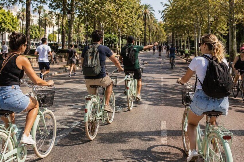 Valencia Albufera E-Bike Tour: The Park Most Visitors Miss 5