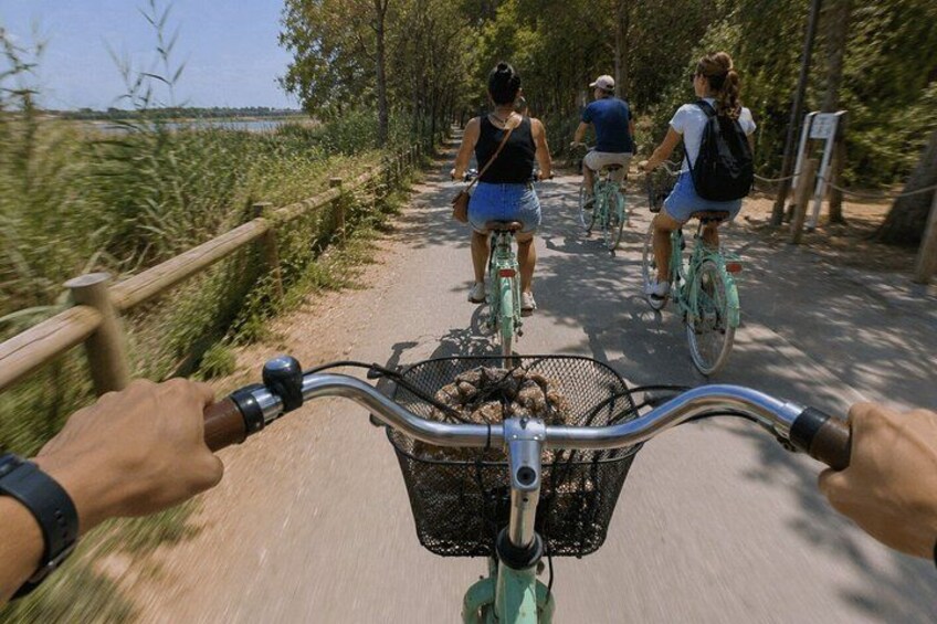 A person riding a bicycle on a paved path with a basket in the front. 3