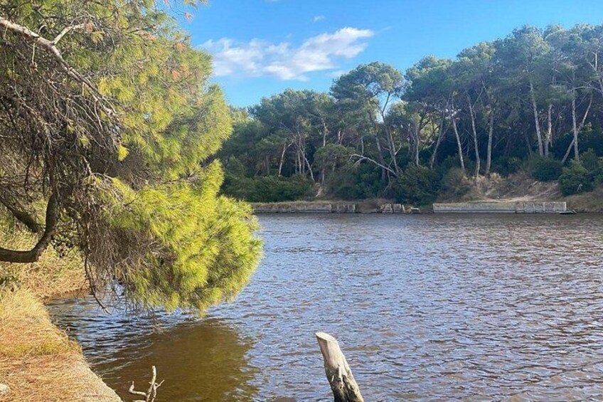 A calm river with trees and a clear sky. 3