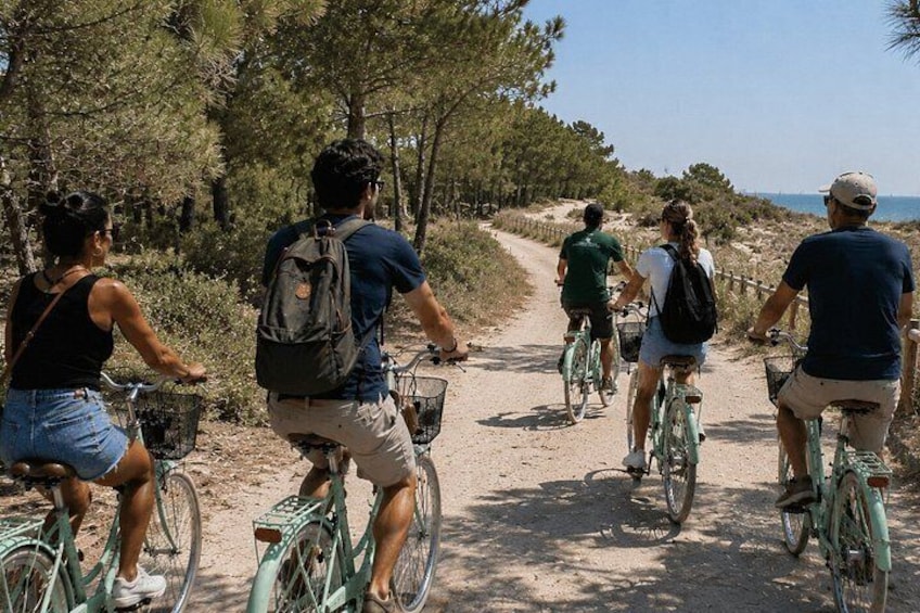 Valencia Albufera E-Bike Tour: The Park Most Visitors Miss 4