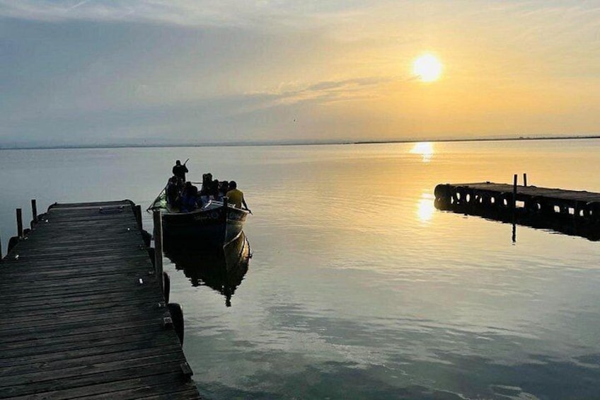 Valencia Albufera E-Bike Tour: The Park Most Visitors Miss 2