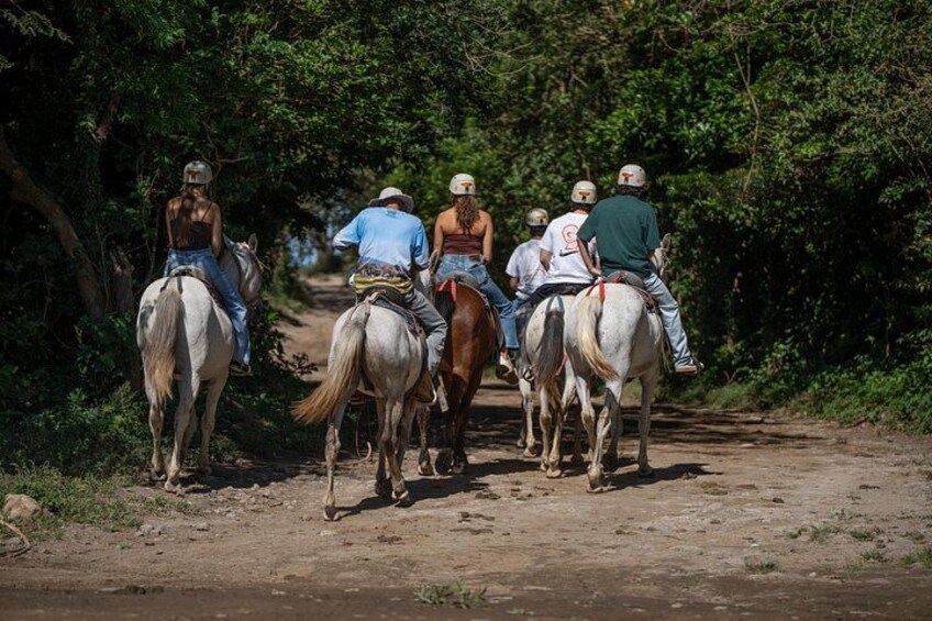 Rincon de la Vieja Exclusive Eco Adventure 12 in 1 Day Pass 2