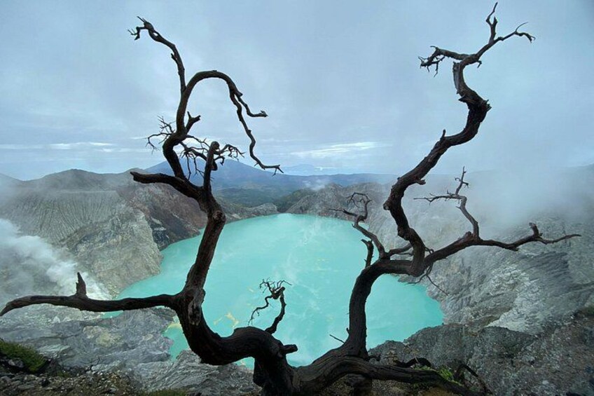 A dead tree with twisted branches overlooking a turquoise lake surrounded by mountains. 4