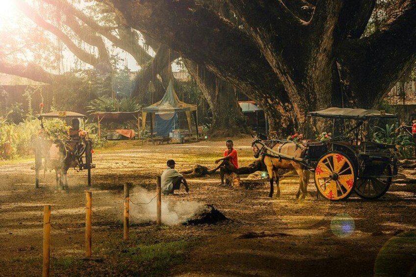 A rural scene with a horse-drawn cart, a person sitting on the ground, and a large tree in the background. 3