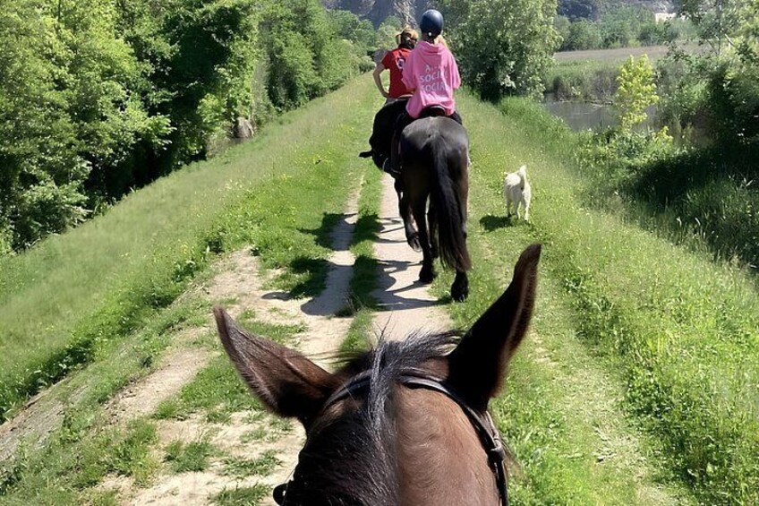 Horseback Riding Experience in Forte dei Marmi 5