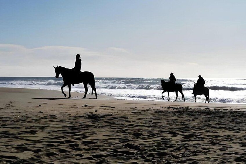 Horseback Riding Experience in Forte dei Marmi 2