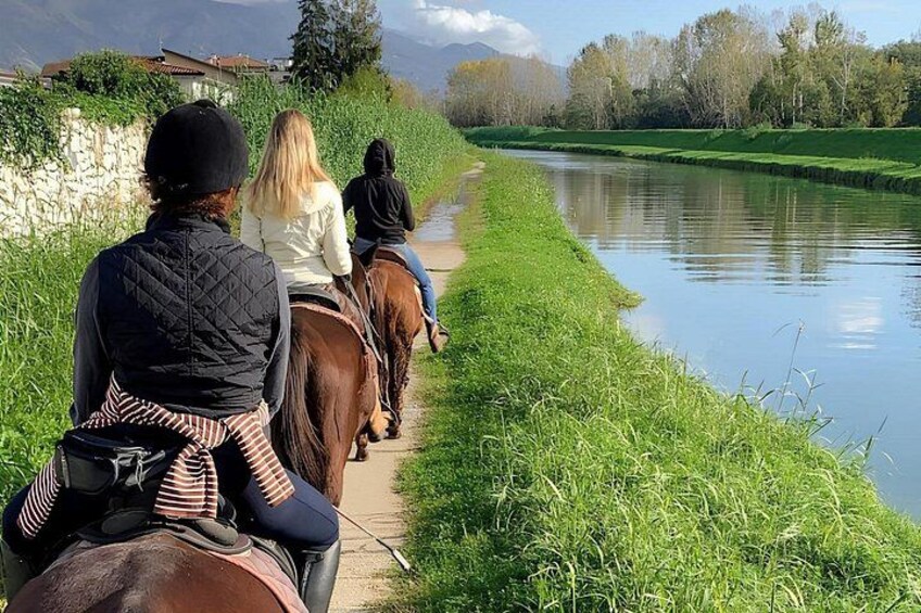 Horseback Riding Experience in Forte dei Marmi 1