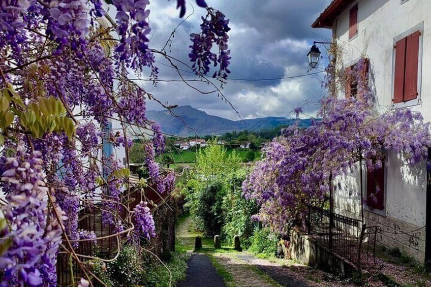 Ein Pfad, gesäumt von violetten Glyzinien, ein rustikales Gebäude mit roten Fensterläden und ein Bergpanorama unter bewölktem Himmel. 1