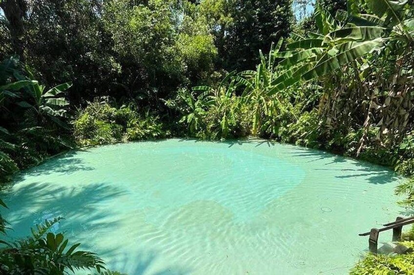 A clear turquoise pool surrounded by lush greenery and banana trees. 1