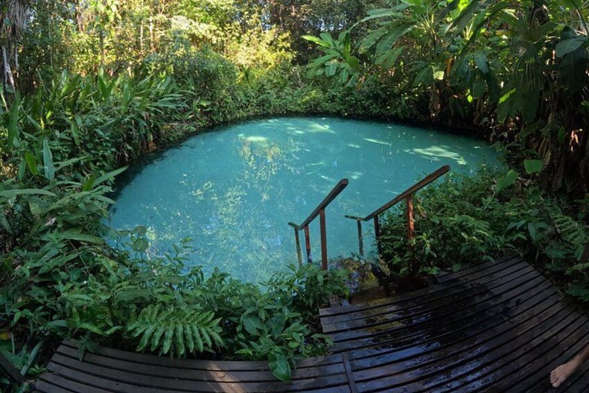 A circular pool surrounded by lush greenery and wooden steps leading into the water. 3
