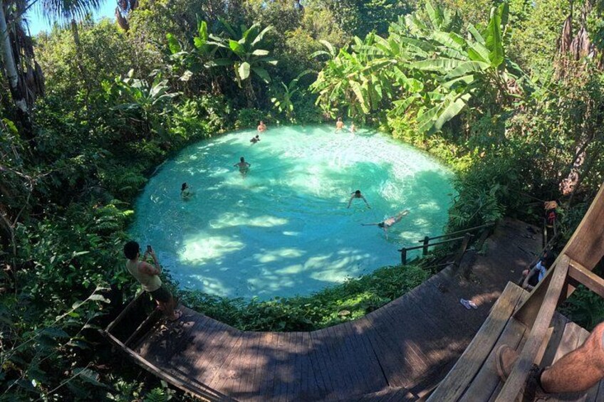 A natural swimming pool surrounded by lush greenery and a wooden deck. 4