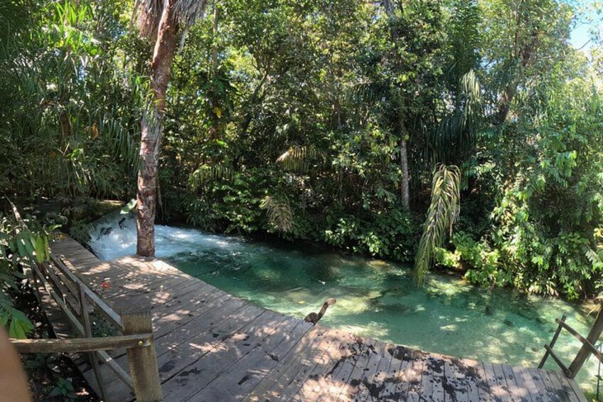 A wooden bridge over a clear stream surrounded by dense greenery. 5