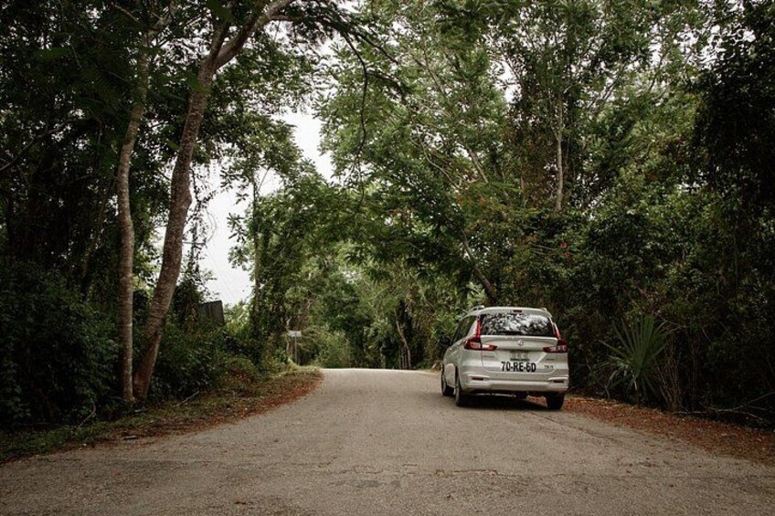 Un coche aparcado en una carretera rural rodeado de árboles frondosos. 2