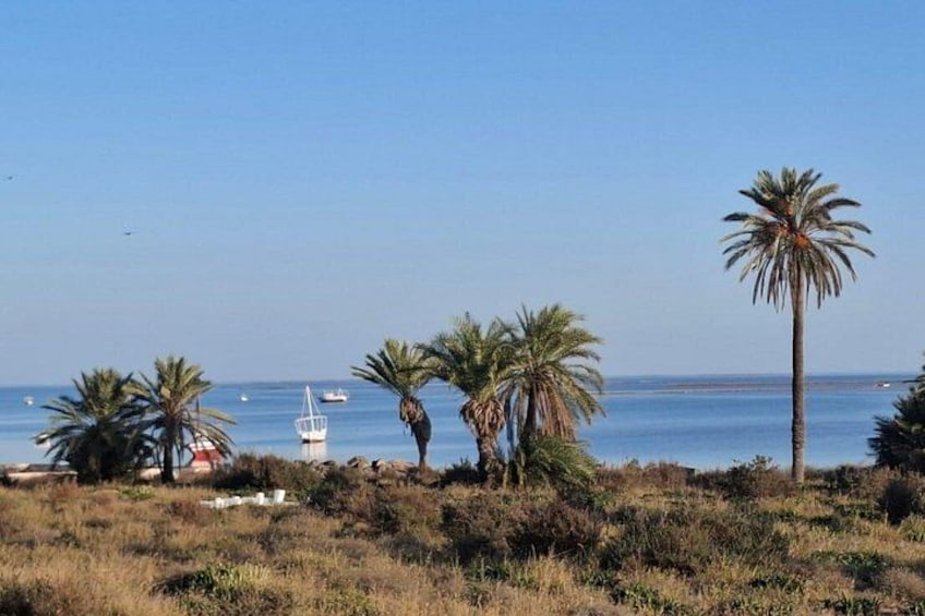 A coastal landscape with palm trees, a lighthouse, and boats on the water. 1