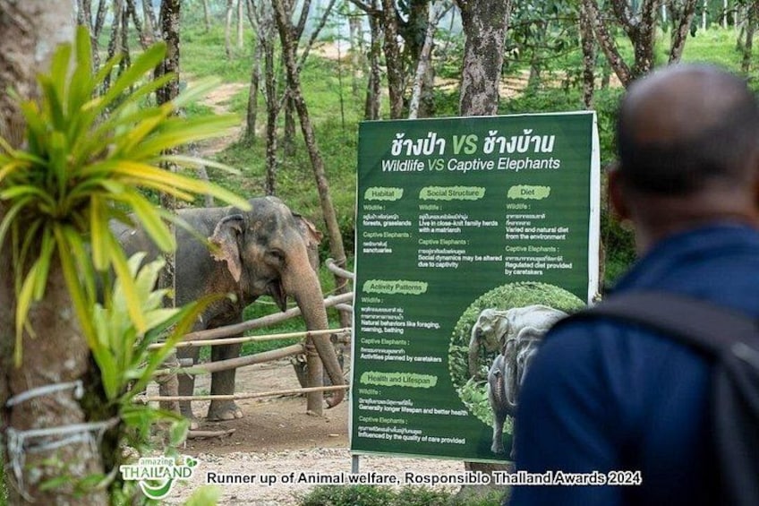 An elephant behind a fence with a sign comparing wild and captive elephants. 3