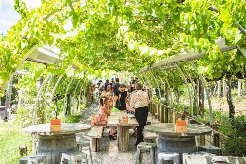 Wine Tasting 5