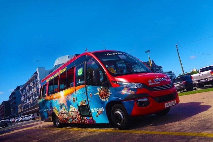 Mini Bus Hop on Hop Off 2