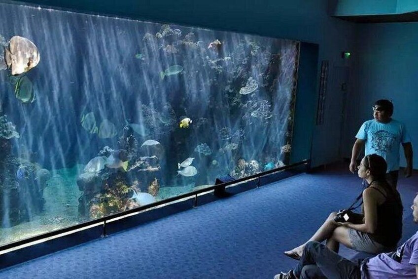 Aquarium of Nouméa 3