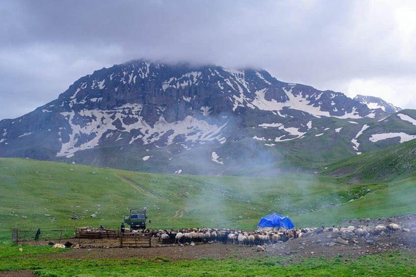 A mountainous landscape with a herd of sheep, a blue tent, and a vehicle. 4