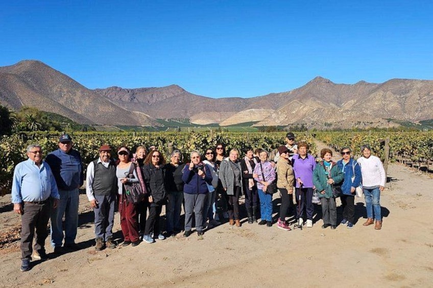 Un grupo de personas de pie en un viñedo con montañas al fondo. 4