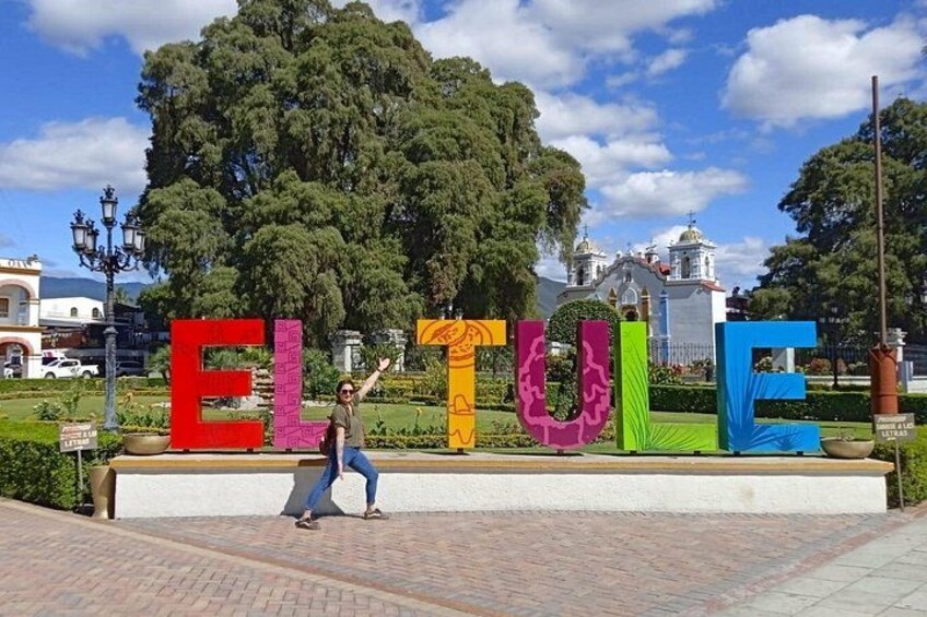Cycle to the biggest tree in the world in Santa María del Tule 1