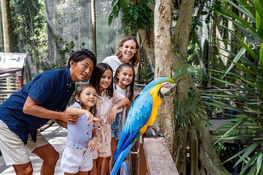 Koala Experience and Gold Coast Beaches Private Tour Ex. Brisbane 4