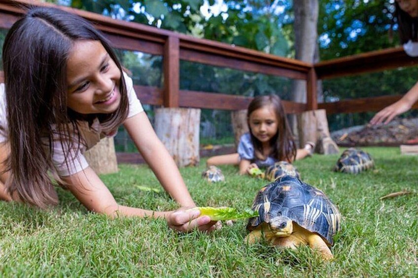 Koala Experience and Gold Coast Beaches Private Tour Ex. Brisbane 3