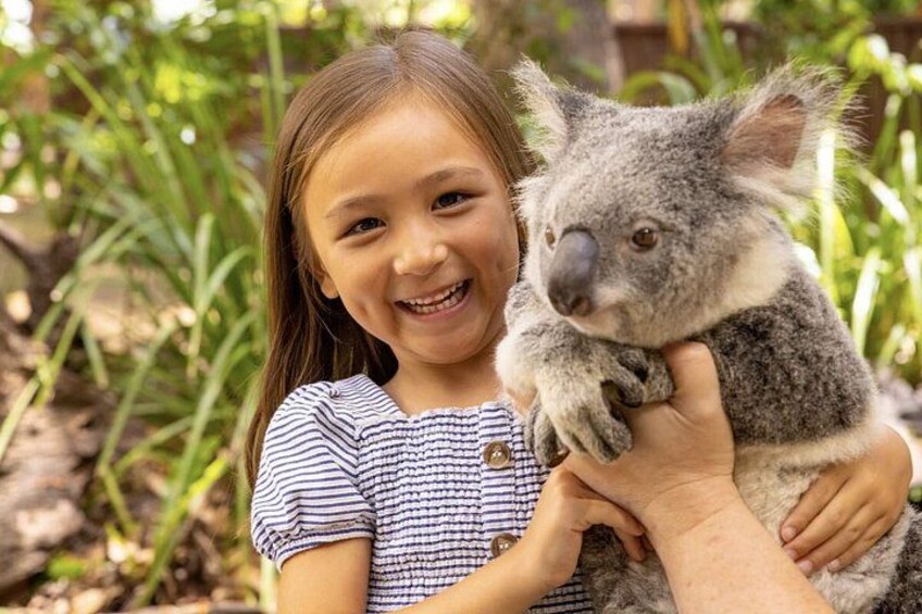 A person holding a koala. 1