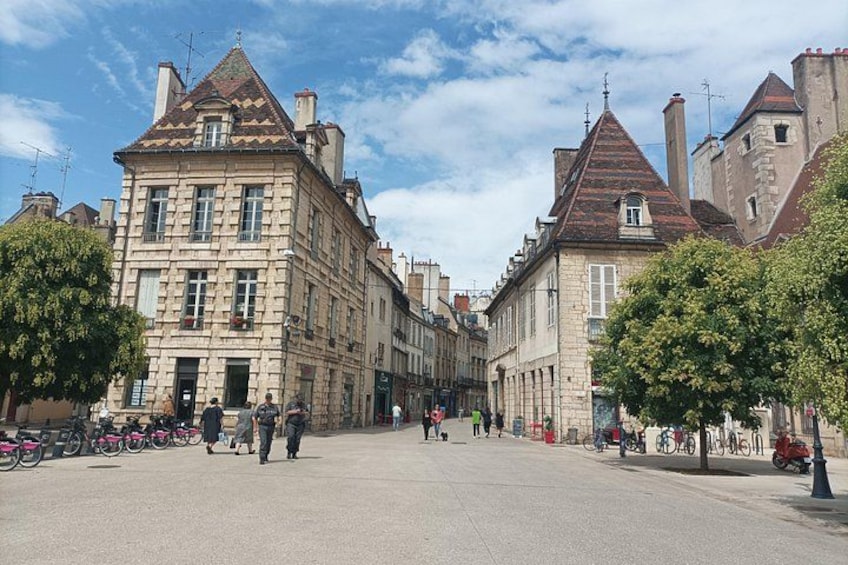 Private Tour in Dijon with your Official Tour Guide 3