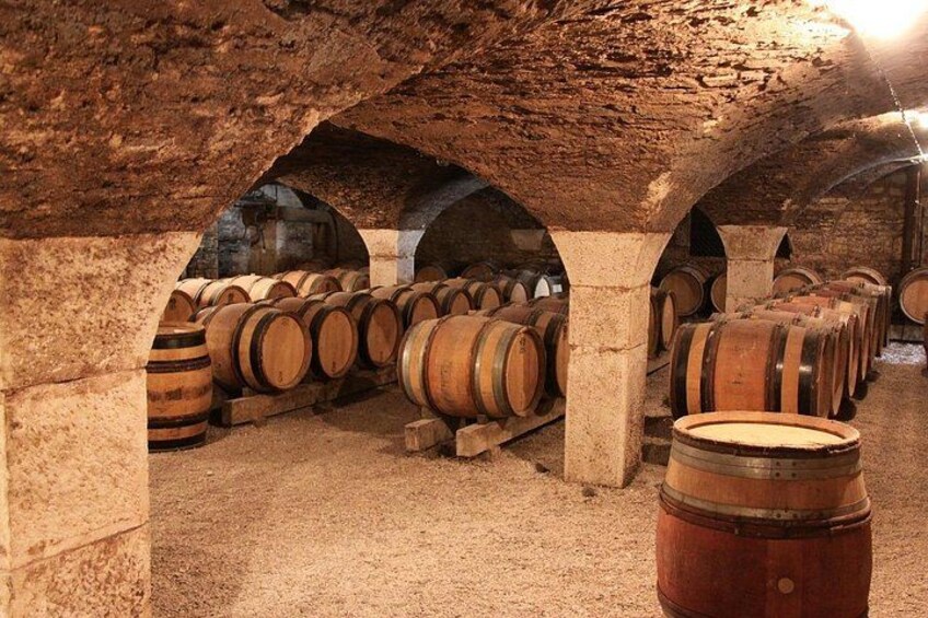 Private Tour in Dijon with your Official Tour Guide 4