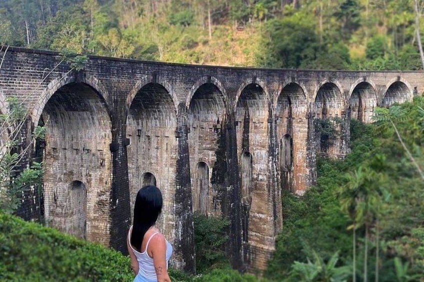 Una donna in piedi di fronte a un imponente viadotto in mattoni con numerose arcate, immersa nel verde. 1