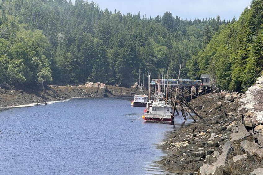 A harbor with boats, a wooden dock, and a forested hillside. 1