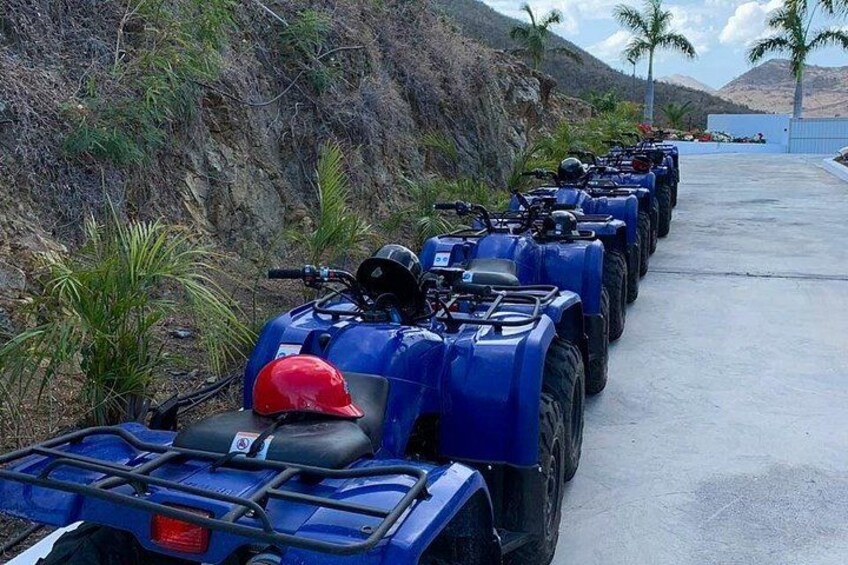 A row of blue ATVs parked on a concrete path beside a rocky hillside with palm trees. 2