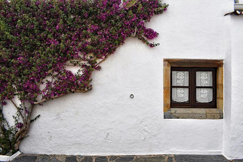 A white wall with a window and purple flowers. 4
