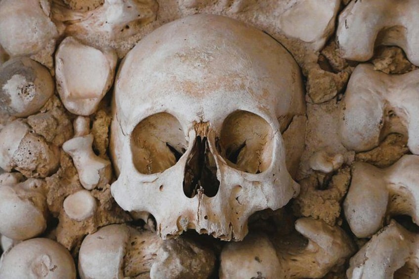 A human skull surrounded by bones. 2
