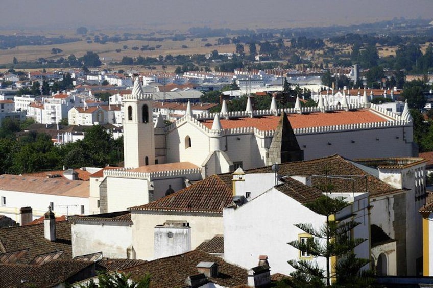 A town with a prominent church, white buildings, and a castle-like structure. 3