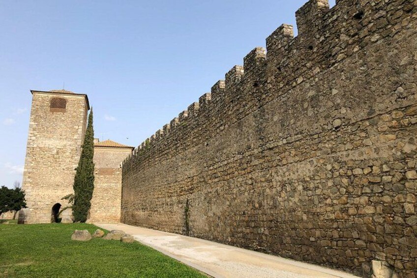 A stone wall with a tower, a pathway, and a grassy area. 5