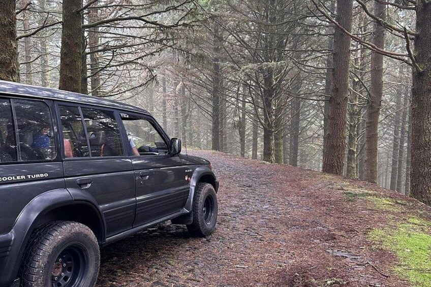 En sort SUV på en skovvej. 2