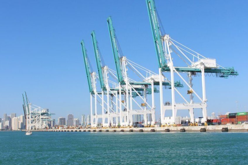 A harbor with multiple green cranes, a city skyline in the background, and a clear blue sky. 3