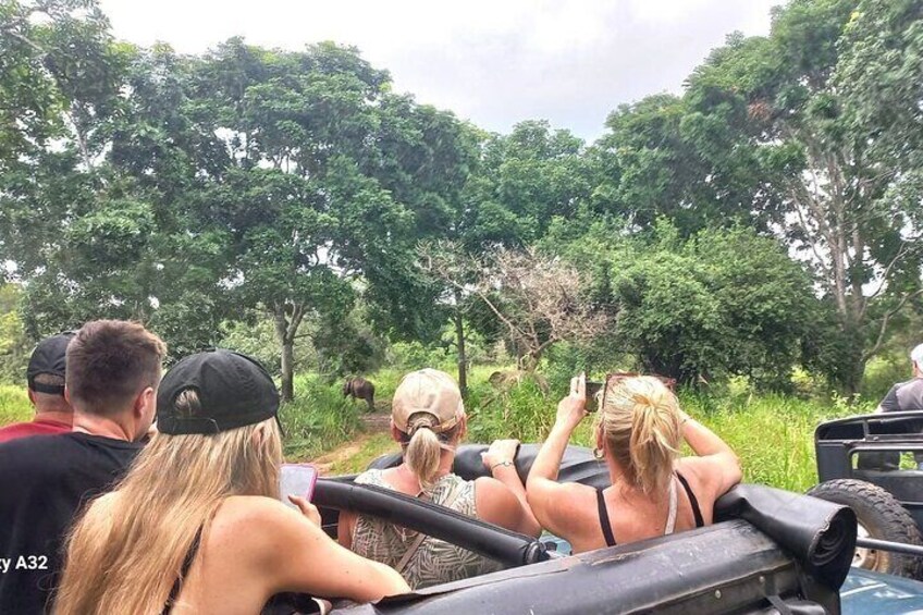 Un groupe de personnes à bord d’un véhicule de safari, observant la faune dans son environnement naturel. 2