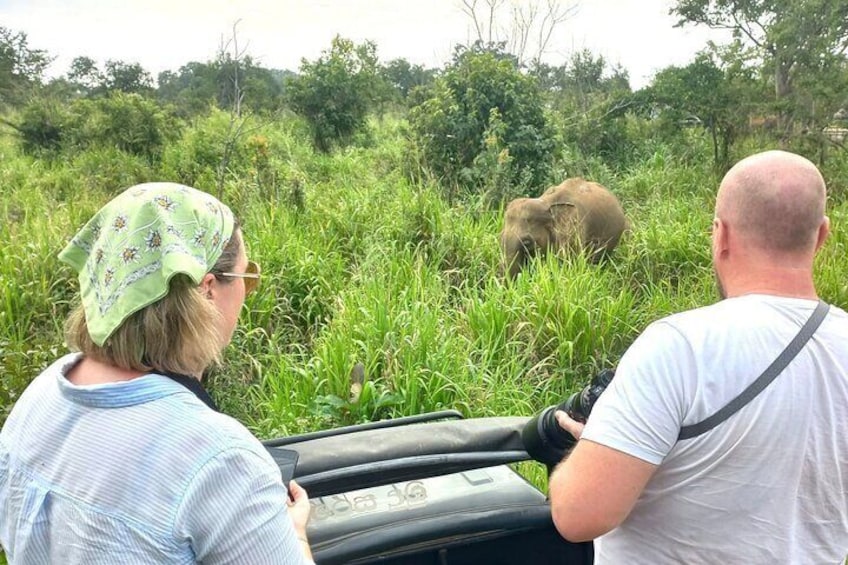 Deux personnes observent un éléphant dans une zone herbeuse. 4