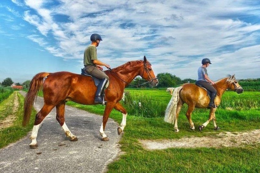 B&C horseback riding, Keeneland or Churchill Down Racetrack. 5