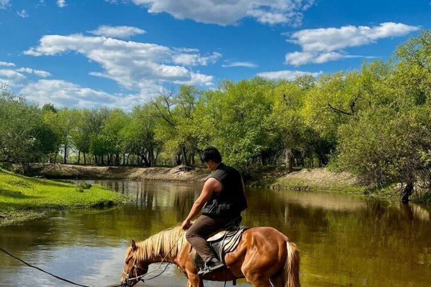 Una persona cavalca un cavallo lungo un argine fluviale, con alberi e cielo sereno. 3