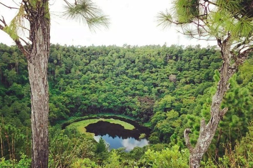Un bosque tupido con un lago rodeado de árboles. 2