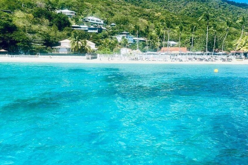 Full day in Martinique Catamaran Dolphins and Turtles 2