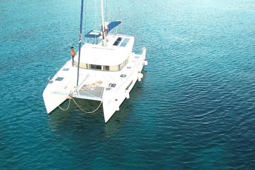 Full day in Martinique Catamaran Dolphins and Turtles 1