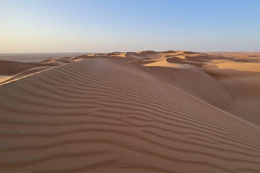 Wahiba Sand Desert 5