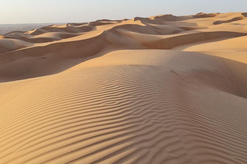 Wahiba Sand Desert 4